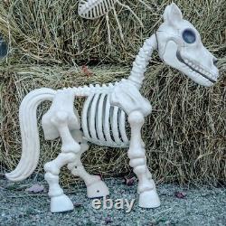 Red Shed Horse Skeleton Halloween Decoration Tractor Supply Tik Tok NEW IN HAND