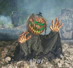 Scary Animated Ground Breaker Lifesize Witch Pumpkin Halloween Party Decor Prop