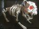 Scary Skeleton Dog Ghost/light Up Eyes/halloween Lights Decoration/prop/party