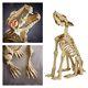 Set Of 2 Animated 2.5 Ft. Led Sit And Stand Skeleton Wolf Halloween Prop Pack