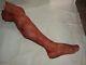 Silicone Horror Prop Severed Mutilated Female Leg Movie Quality Gore Halloween
