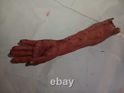 Silicone HORROR PROP severed mutilated Female arm movie quality gore halloween