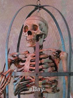 Skeleton Cage Life-Size with Aged Skeleton Halloween Prop, Human Skeletons
