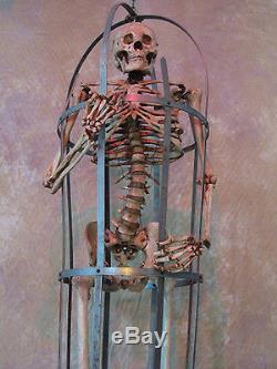 Skeleton Cage Life-Size with Aged Skeleton Halloween Prop, Human Skeletons