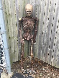 Skeleton Corpse Zombie Life Size Halloween Prop Decoration Realistic Pro Series