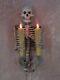 Skeleton Torso Wall Sconce Holding Candles, Skull, Halloween Prop