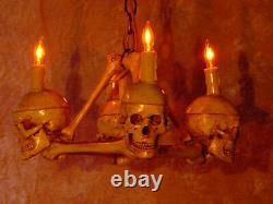 Skull Chandelier, Halloween Prop, Human Skeleton Skulls