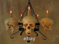 Skull Chandelier, Halloween Prop, Human Skulls/Skeleton