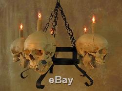 Skull Chandelier, Halloween Prop, Human Skulls/Skeleton