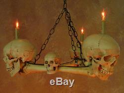 Skull Chandelier, Halloween Prop, Human Skulls/Skeleton