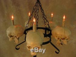 Skull Chandelier, Halloween Prop, Human Skulls/Skeleton