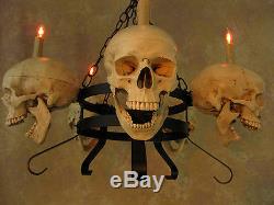 Skull Chandelier, Halloween Prop, Human Skulls/Skeleton