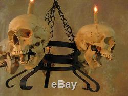 Skull Chandelier, Halloween Prop, Human Skulls/Skeleton