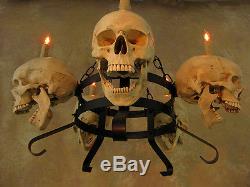 Skull Chandelier, Halloween Prop, Human Skulls/Skeleton