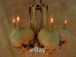 Skull Hip Bone Chandelier, Halloween Prop, Human Skeletons, NEW