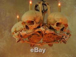 Skull Hip Bone Chandelier, Halloween Prop, Human Skeletons, NEW