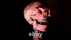 Skulltronix animatronic head skull halloween