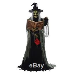 Spell Speaking Witch Animated Prop, Halloween Decoration, Creepy Old Hag