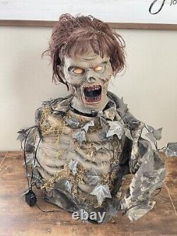 Spirit Halloween COMPOST CORPSE Animatronic Halloween Prop Sounds Animates