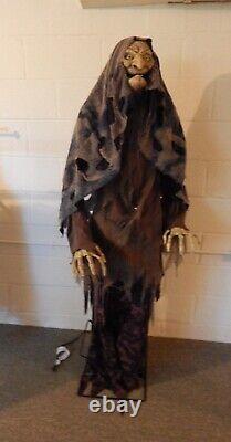 Spooky Witch Halloween prop Animatronic Haunted house retired