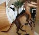 Velociraptor Dinosaur Custom From Fx Company Movie Prop / Halloween / Haunted P