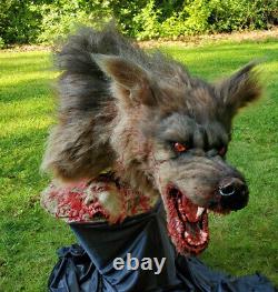 Werewolf prop with bloody head and glowing eyes Halloween haunted house