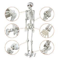 Yescom 5.4 Ft Skeleton Bone LED Eye Life Size Halloween Decor Skull 2 Pack