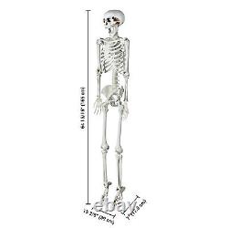 Yescom 5.4 Ft Skeleton Bone LED Eye Life Size Halloween Decor Skull 2 Pack