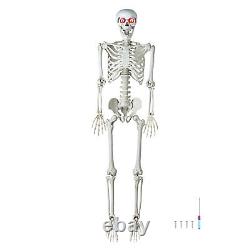 Yescom 5.4 Ft Skeleton Bones LED Eye Life Size Halloween Decor Skull Party