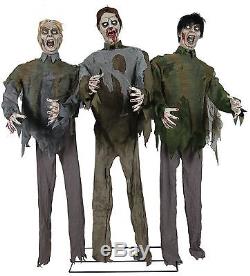 Zombie Horde Animated Halloween Prop